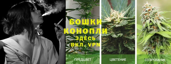 спиды Пролетарск