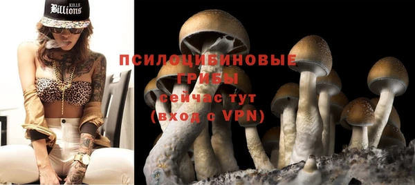 2c-b Приозерск