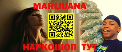 крисы Абакан