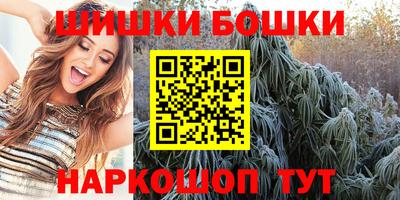 крисы Абакан