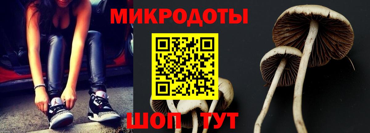 Псилоцибиновые грибы мухоморы  Галлюциногенные грибы мухоморы  Вход с VPN  Великий Устюг 